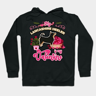 My Lancashire Heeler Is My Valentine - Dog Lover Gifts For Dog Moms And Any Lancashire Heeler owners Hoodie